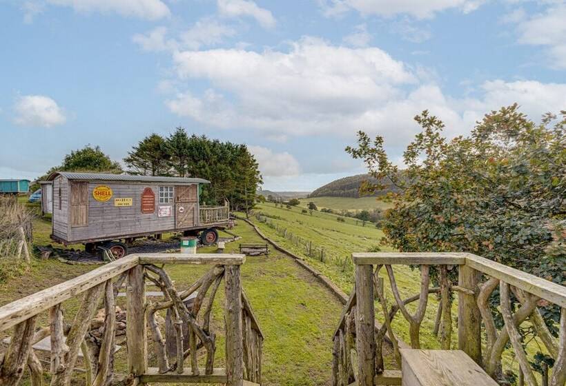 2x Double Bed   Glamping Wagon, Dalby Forest