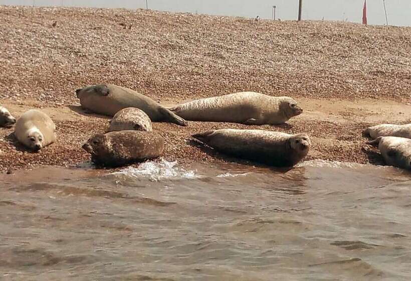 Beautiful 6 Bed Dog Friendly Cottage In Heacham