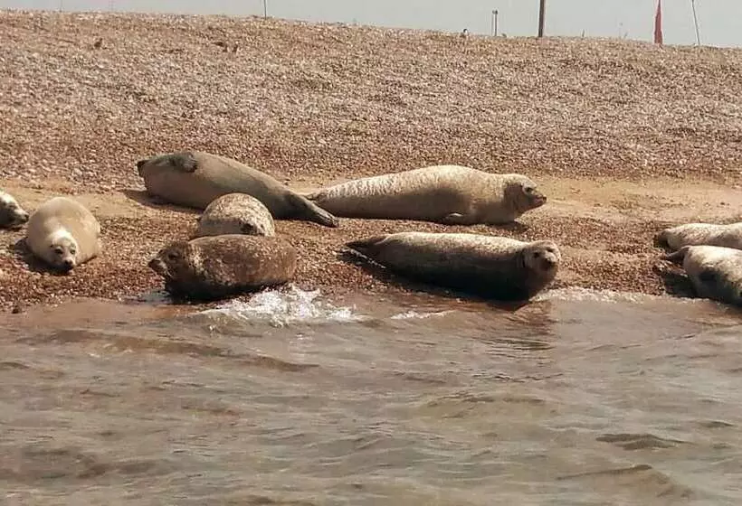 Beautiful 6 Bed Dog Friendly Cottage In Heacham