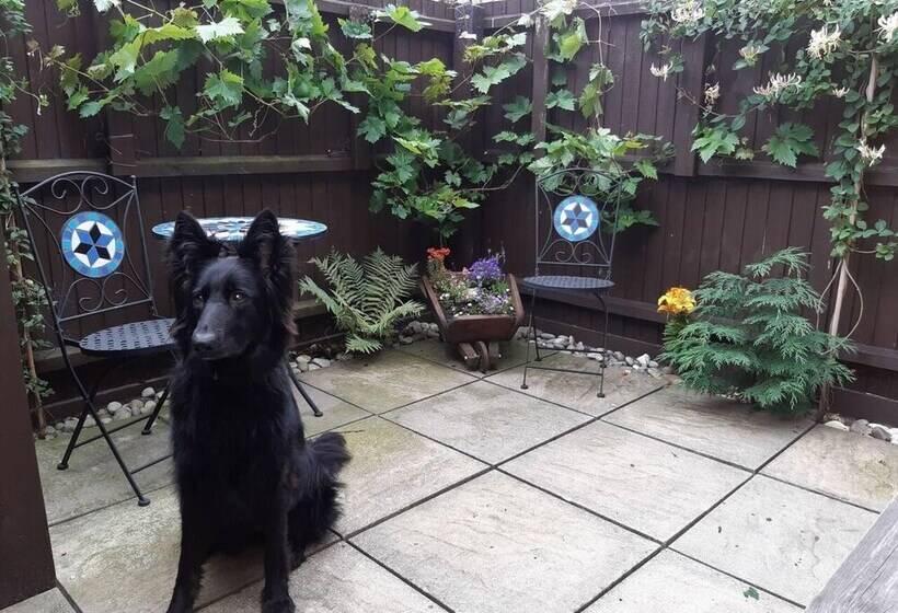 Beautiful 6 Bed Dog Friendly Cottage In Heacham