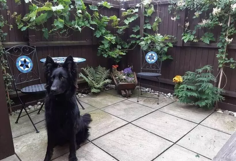 Beautiful 6 Bed Dog Friendly Cottage In Heacham