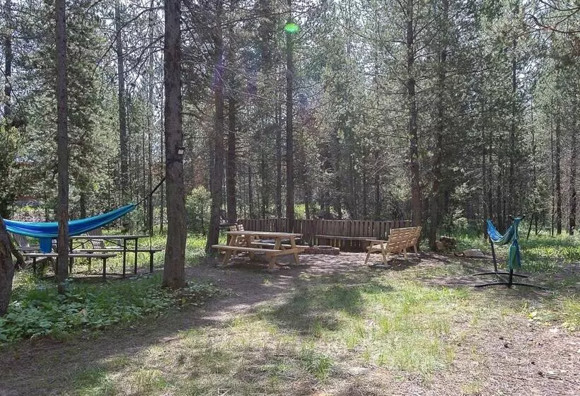 Beaver Pines