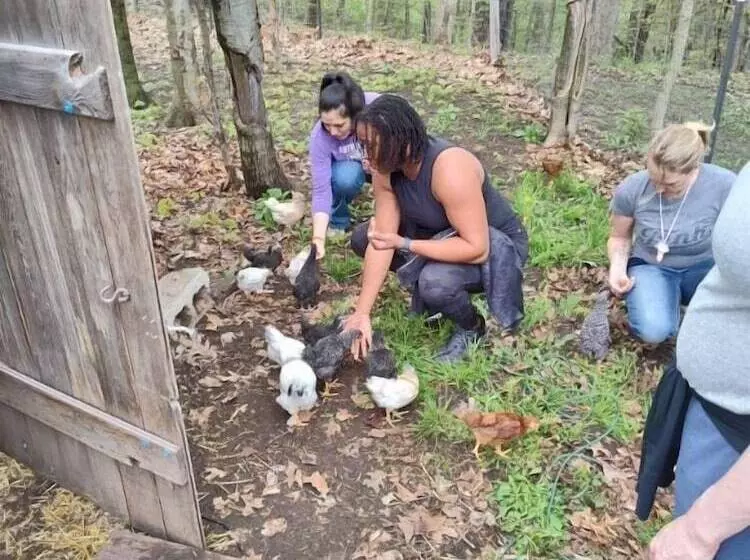 Aamiaismajoitus (B&B) Vintage Inn At Veritas Estate