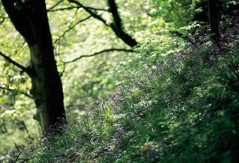 Charming Yurt In Kelburn Estate Near Largs