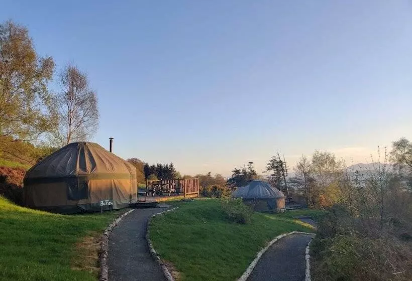 Charming Yurt In Kelburn Estate Near Largs