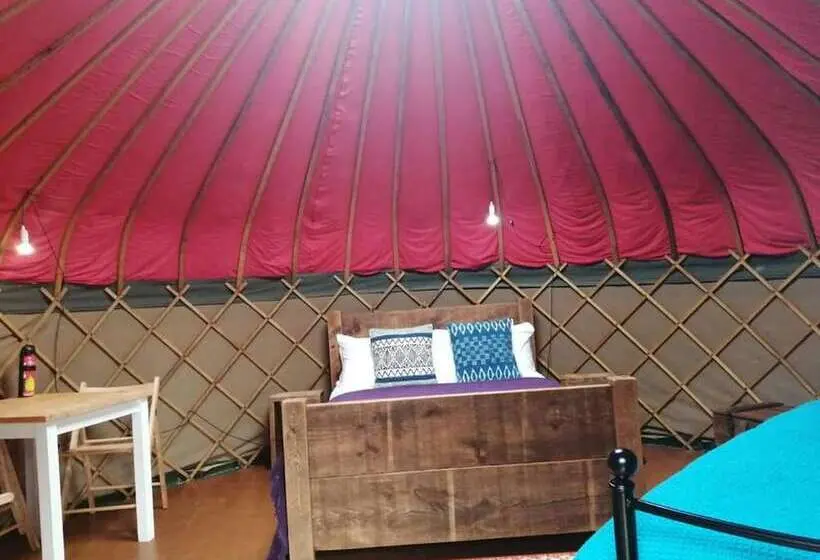 Charming Yurt In Kelburn Estate Near Largs
