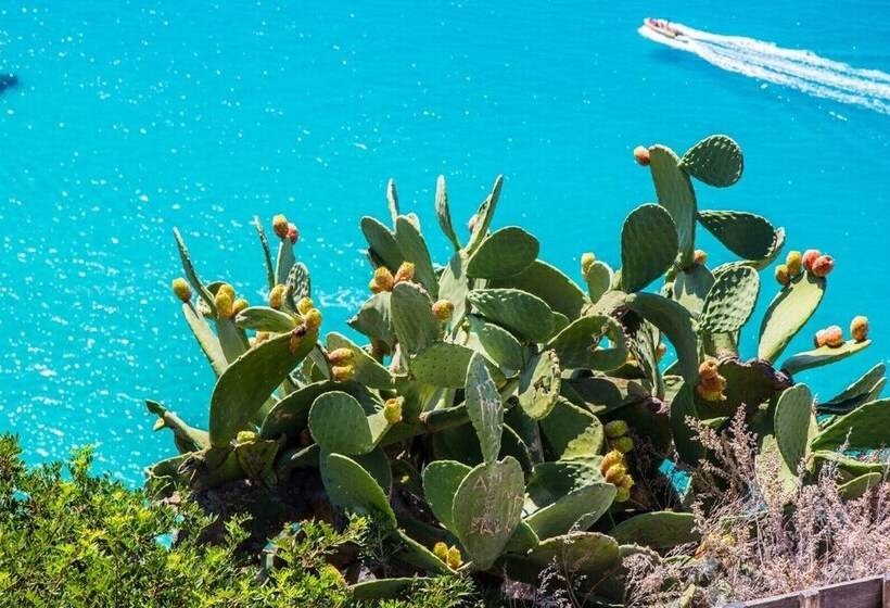 مسافرخانه Th Capo Rizzuto