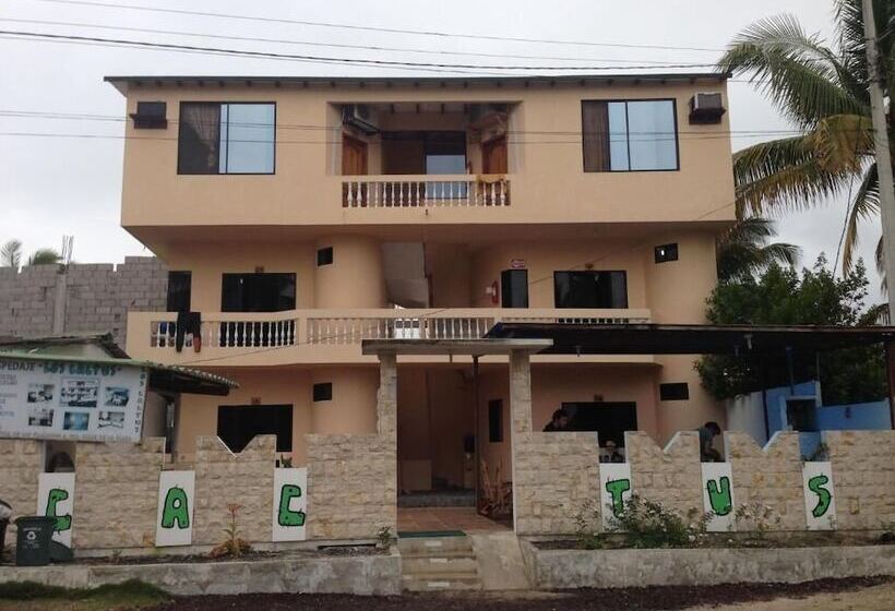 فندق Hospedaje Los Cactus