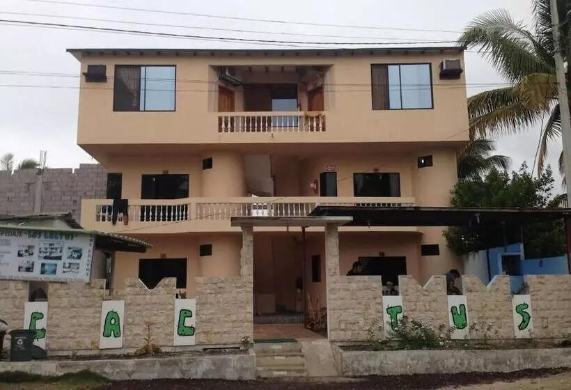 ホテル Hospedaje Los Cactus