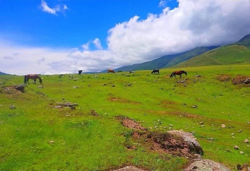 Hotel Hosteria Los Cuartos