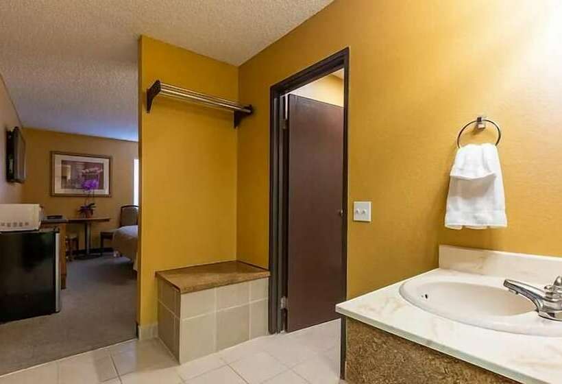 هتل Sun Valley Suites