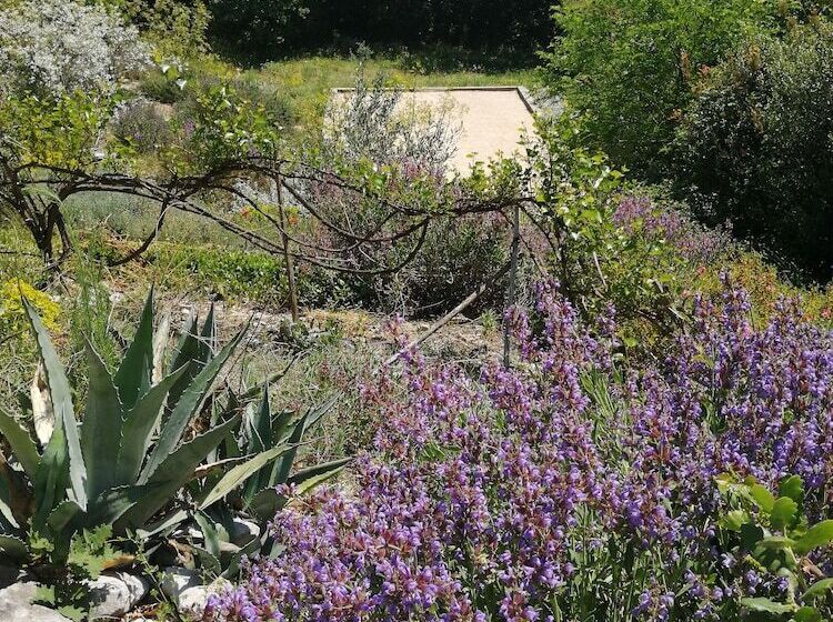 פנסיון Le Mas De Molines