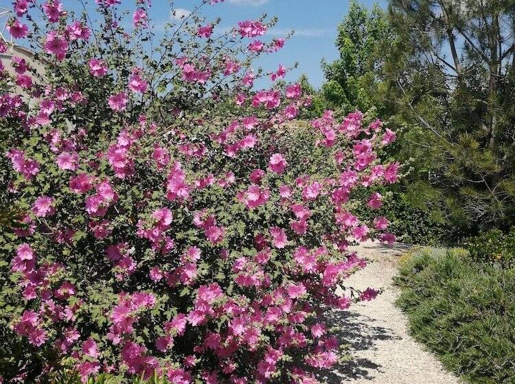 פנסיון Le Mas De Molines