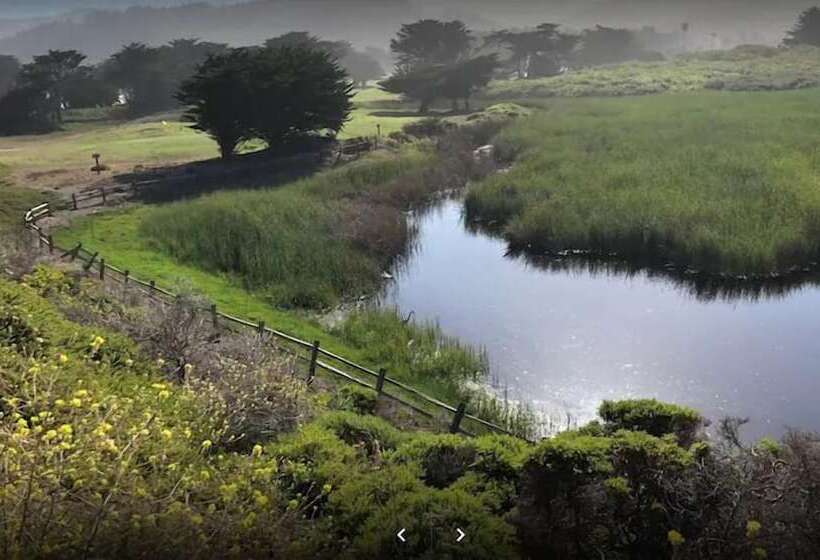 膳宿费 Pacifica Homes