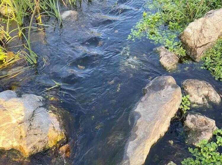 膳宿费 Pacifica Homes