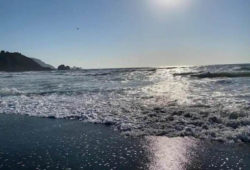 膳宿费 Pacifica Homes