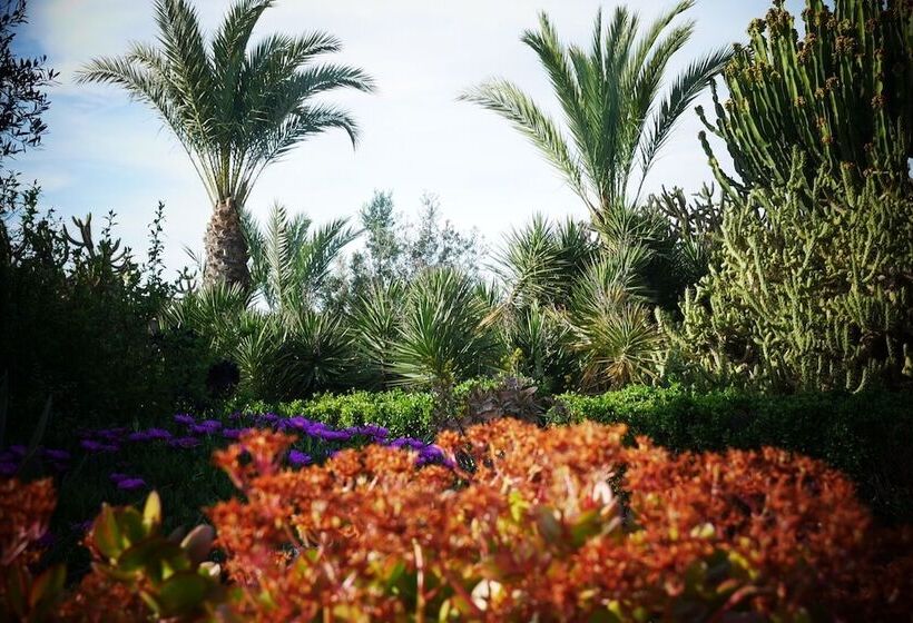 تختخواب و صبحانه Todo Cambia