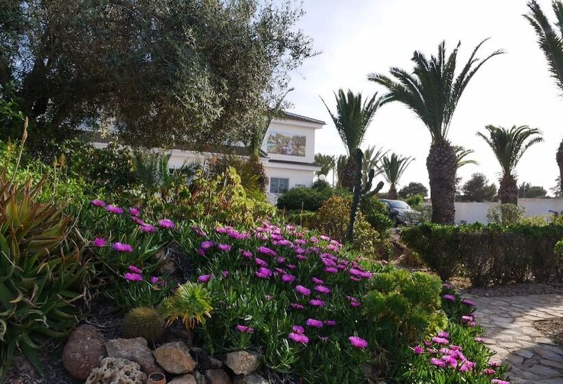 تختخواب و صبحانه Todo Cambia