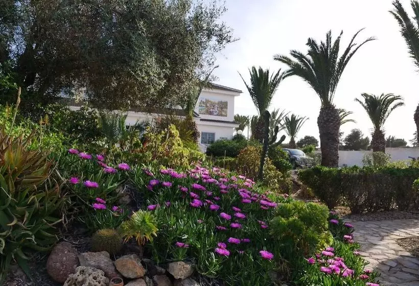Aamiaismajoitus (B&B) Todo Cambia