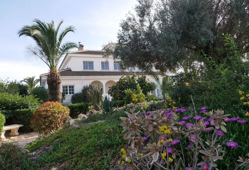 تختخواب و صبحانه Todo Cambia