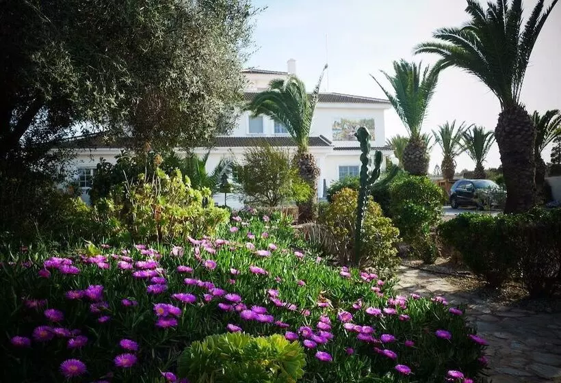 Aamiaismajoitus (B&B) Todo Cambia