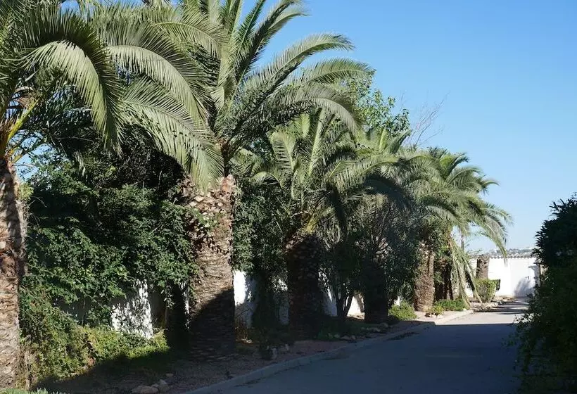 Aamiaismajoitus (B&B) Todo Cambia