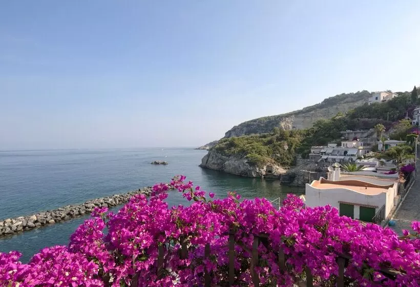 Estate4home  Sea Melody