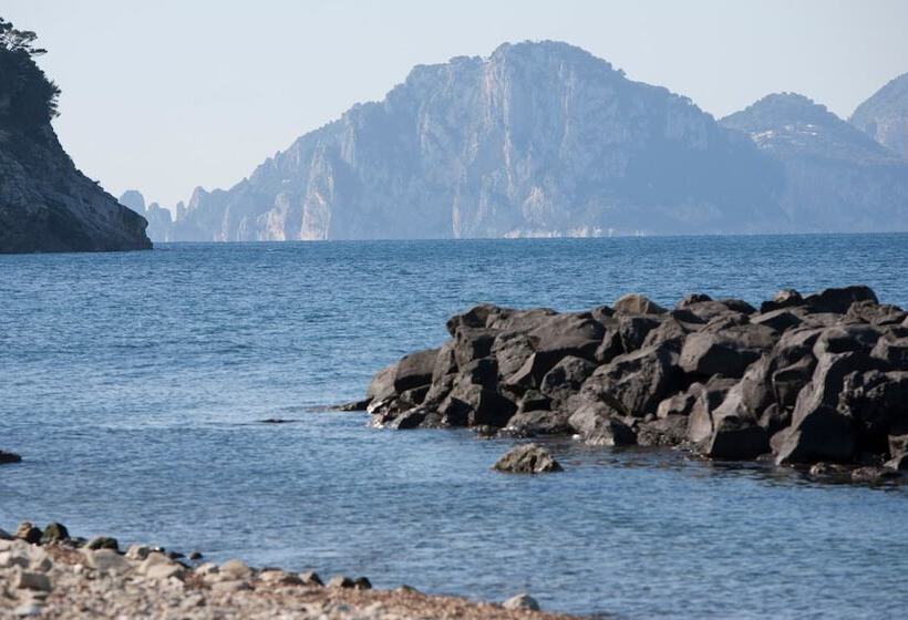 Estate4home Sea Melody