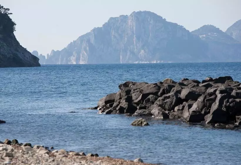 Estate4home  Sea Melody