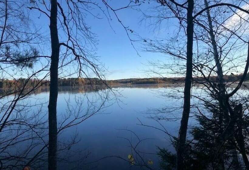 Gresham Shores   Smiling Moose #6