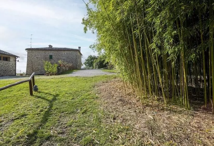 Medieval Farmhouse In Caprese Michelangelo With Terrace