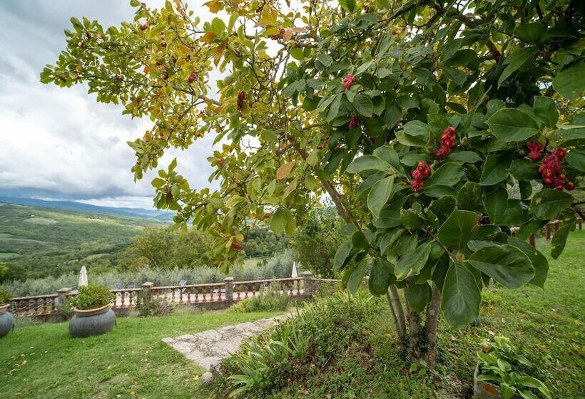 Medieval Farmhouse In Caprese Michelangelo With Terrace
