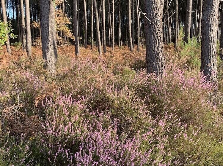 膳宿费 La Grange Du Coulin