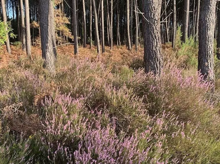 Majatalo La Grange Du Coulin