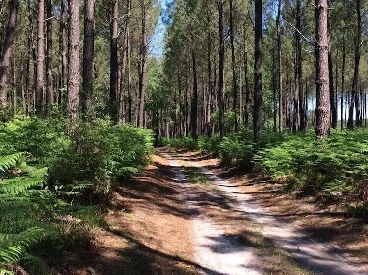 Majatalo La Grange Du Coulin