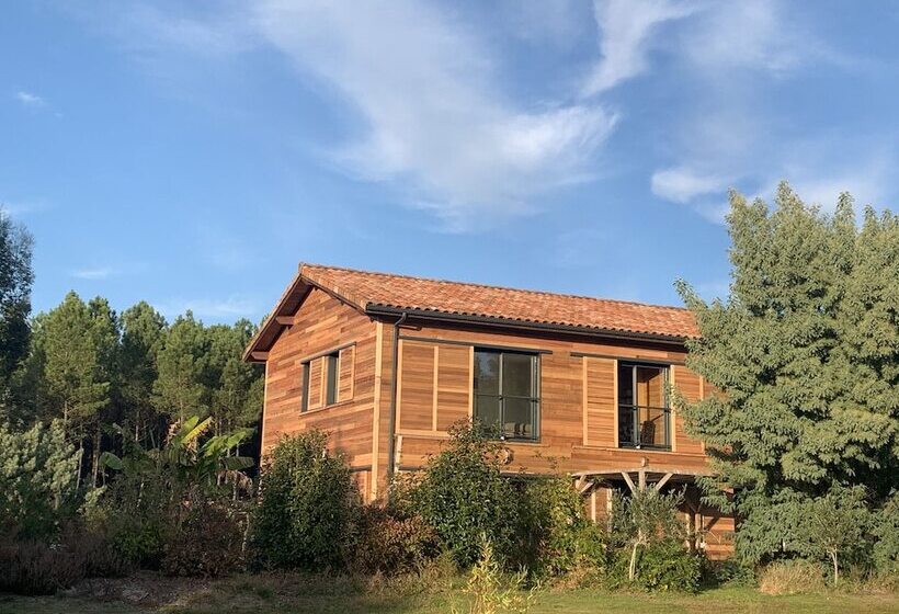 膳宿费 La Grange Du Coulin