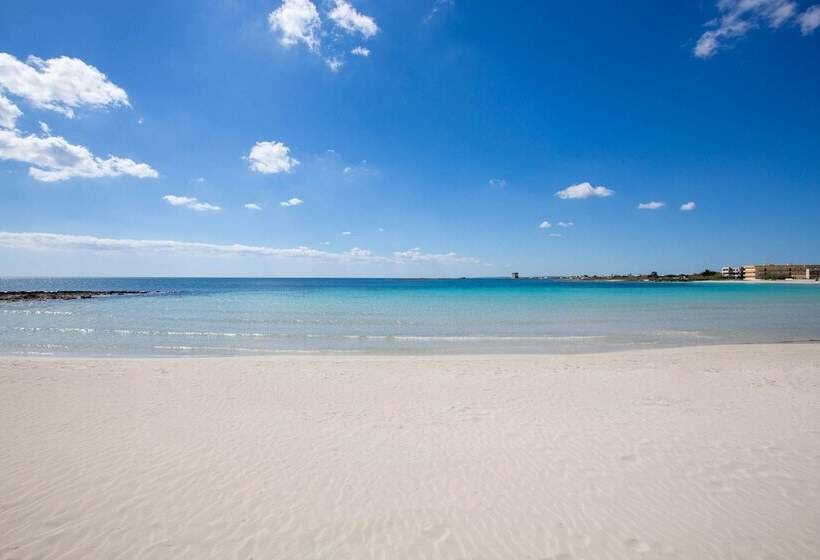 2723 B&b Le Maison Di Mavi By Barbarhouse