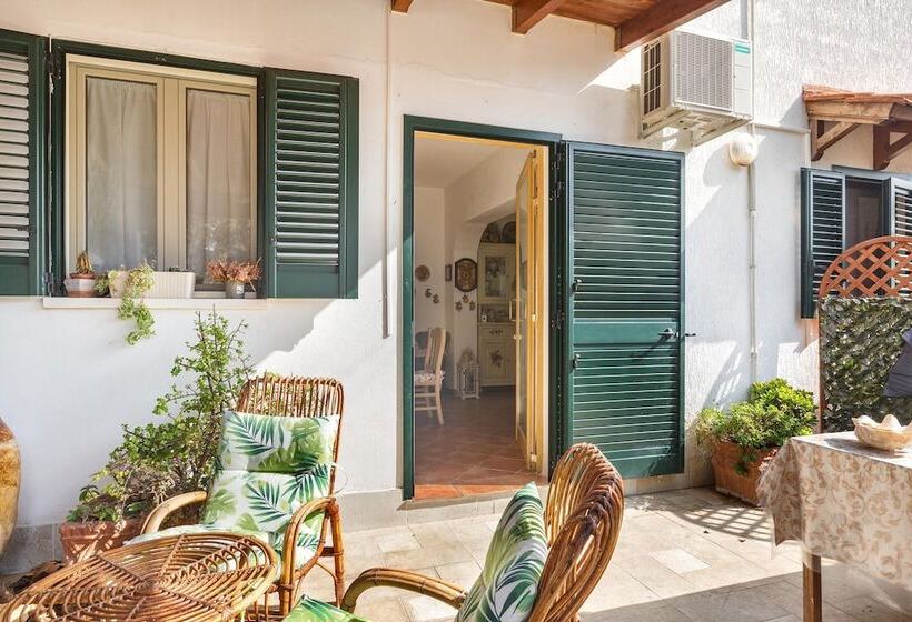 2723 B&b Le Maison Di Mavi By Barbarhouse