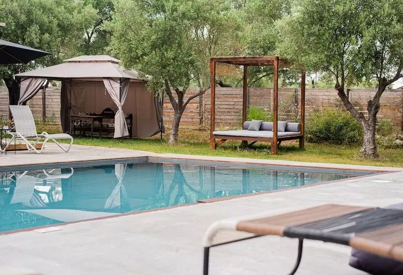 Aamiaismajoitus (B&B) Pefkon Suites