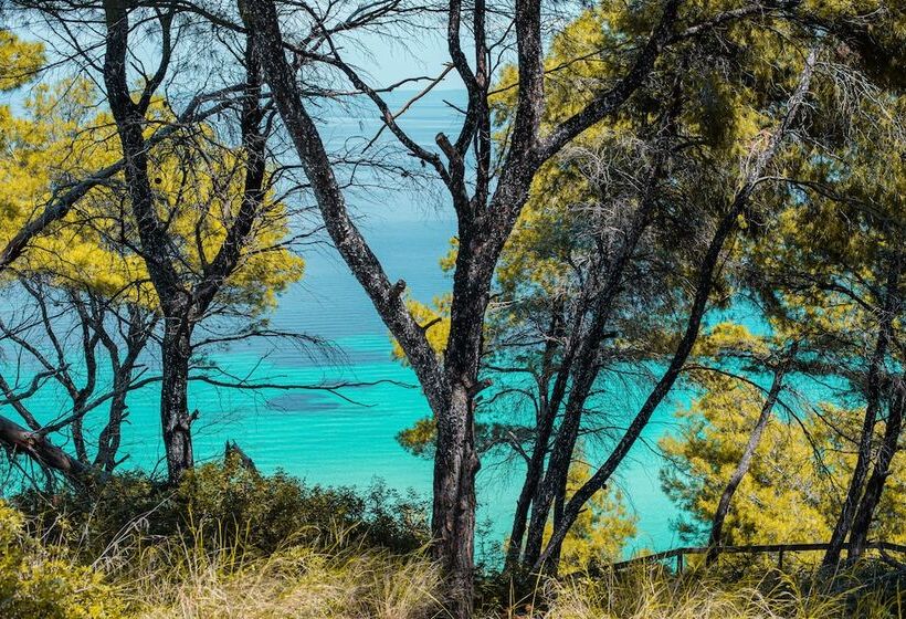 ベッドアンドブレックファースト Pefkon Suites