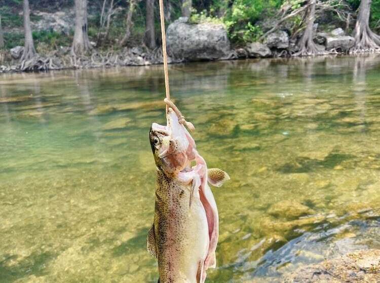 Hotel Son S Guadalupe Glamping Tent D