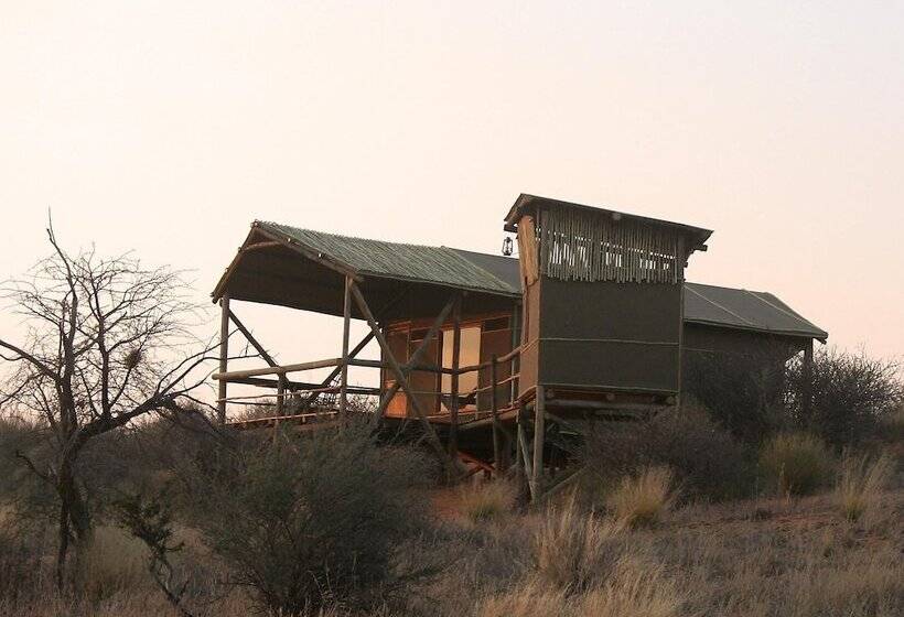 هتل Teufelskrallen Lodge