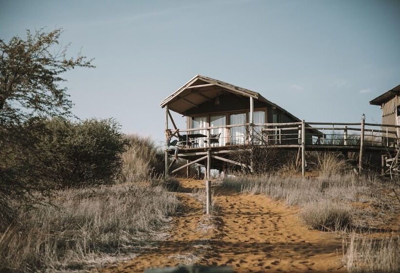 هتل Teufelskrallen Lodge