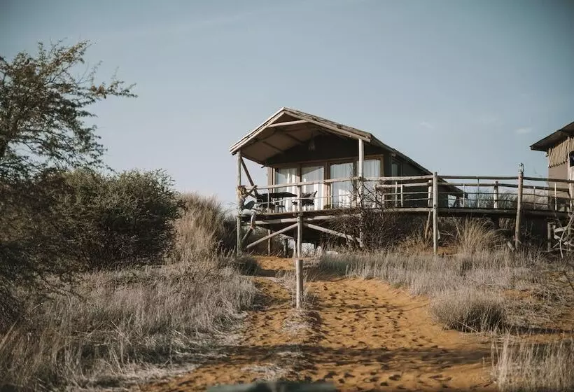 هتل Teufelskrallen Lodge