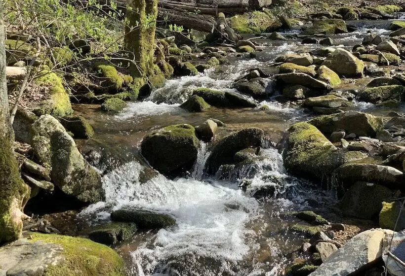 Little Mountain Hideaway