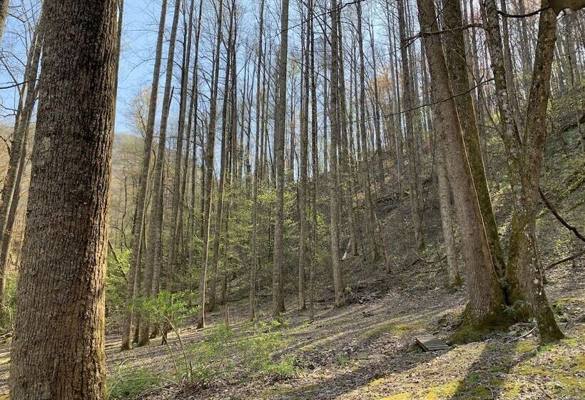 Little Mountain Hideaway