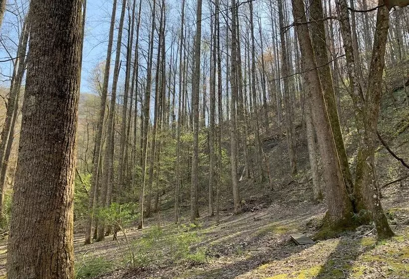 Little Mountain Hideaway