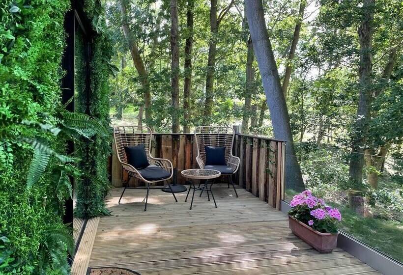 Luxury Cabin In The Woods