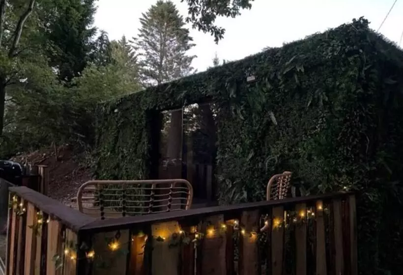 Luxury Cabin In The Woods