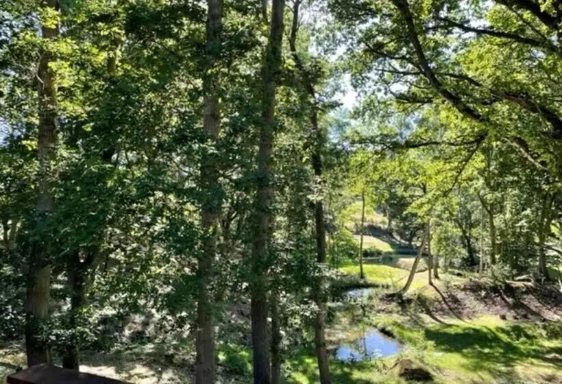 Luxury Cabin In The Woods